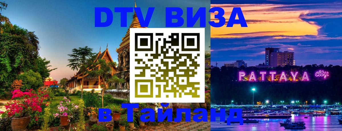 Оформление DTV визы под ключ: стоимость и тарифы, только загранпаспорт - Пенза  20.11.2025 